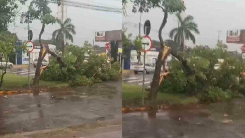 chuva