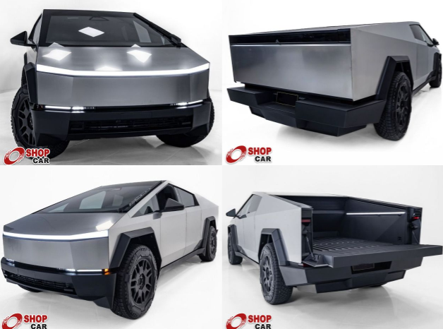 tesla cybertruck campo grande