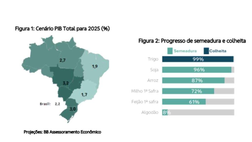 Levantamento Banco do Brasil