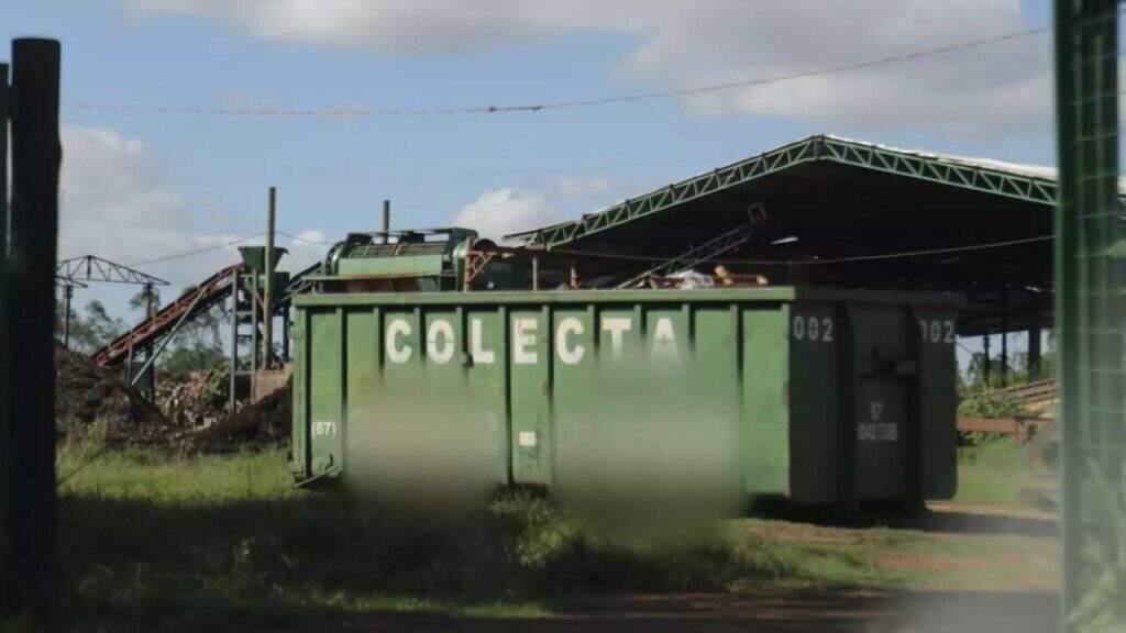 organoeste