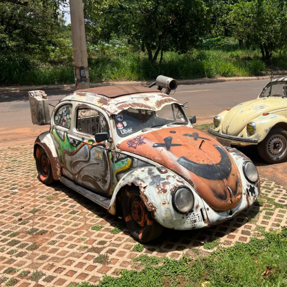 fusca ratos vinagre limão